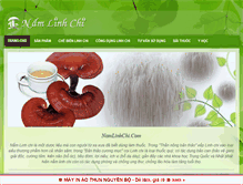 Tablet Screenshot of namlinhchi.com